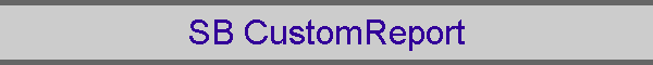 SB CustomReport