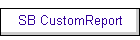 SB CustomReport